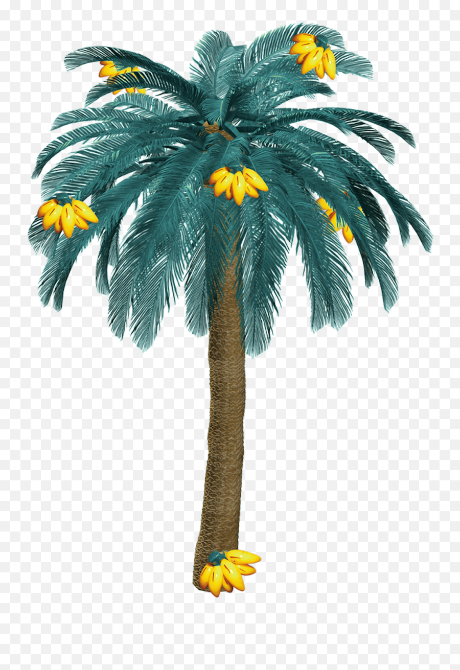 Freetoedit Palms Palm Palme - Tree Png File For Photoshop Emoji,Palms Up Emoji