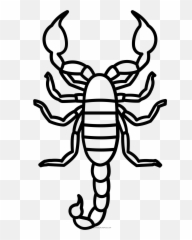 Drawing Scorpion Color Transparent Png Clipart Free - Dibujo De Un Escorpion Para Colorear Emoji,Scorpion Emoji