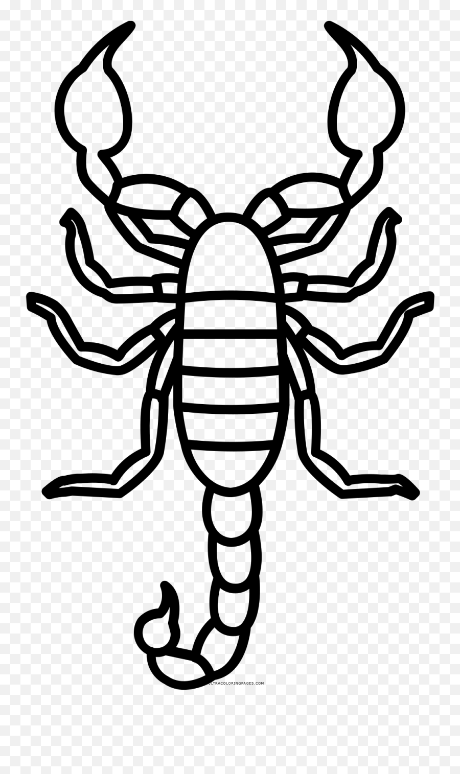 Drawing Scorpion Color Transparent Png Clipart Free - Dibujo De Un Escorpion Para Colorear Emoji,Scorpion Emoji