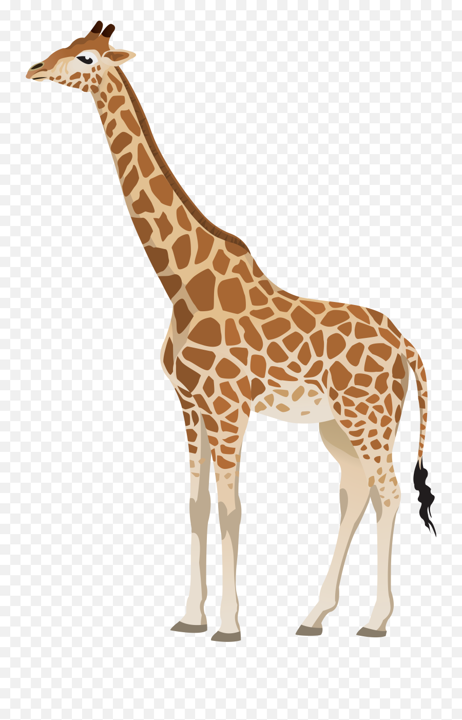 Transparent Background Giraffe Clipart - Transparent Background Giraffe Clipart Emoji,Giraffe Emoji For Iphone