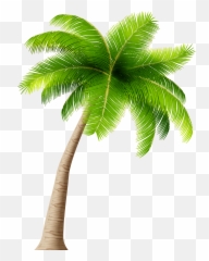 Free Palm Tree Cartoon Png Download Clip Art - Transparent Background Emoji