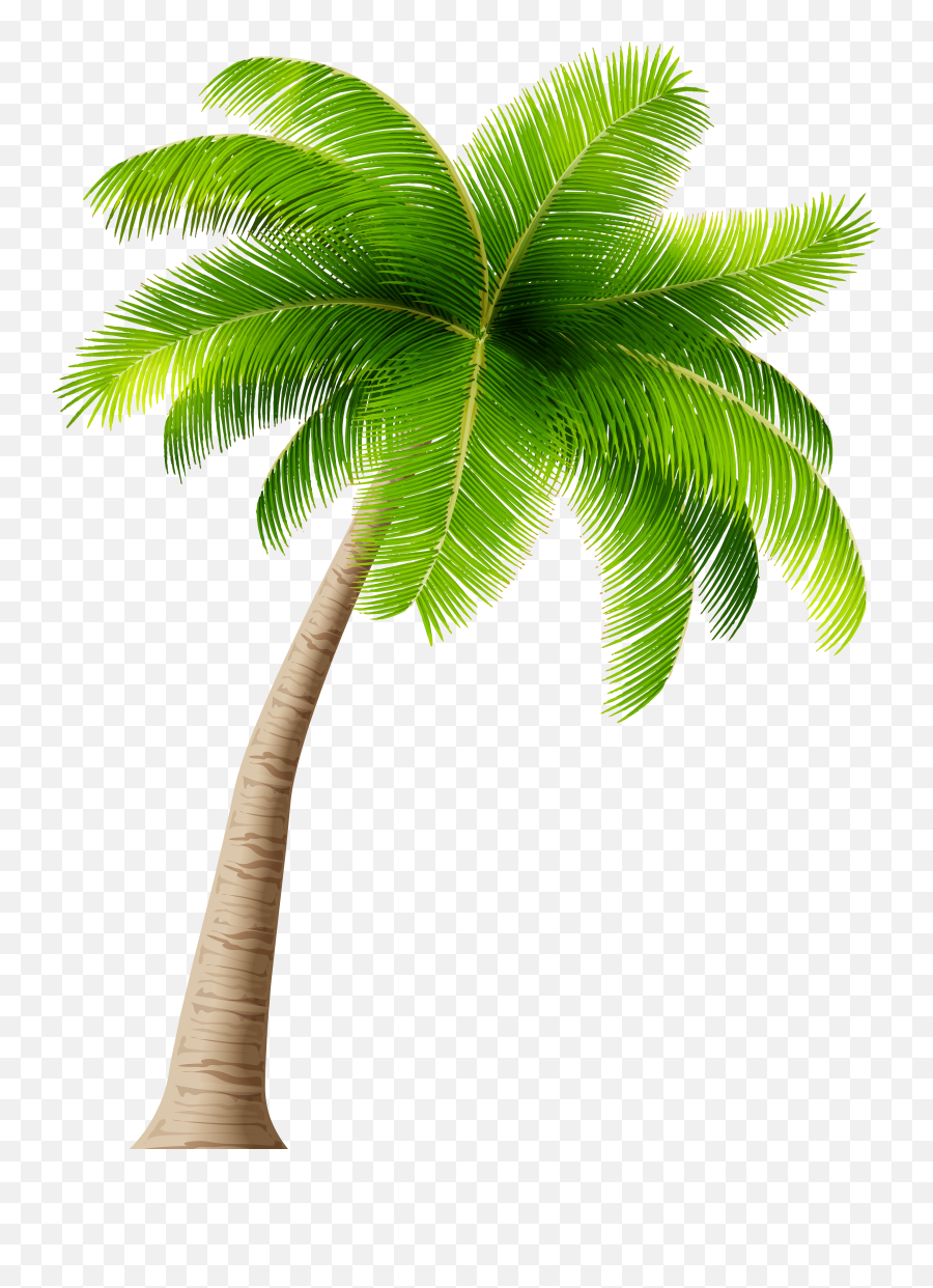 Free Palm Tree Cartoon Png Download Free Clip Art Free - Transparent Background Palm Tree Png Emoji,Palm Tree Emoji
