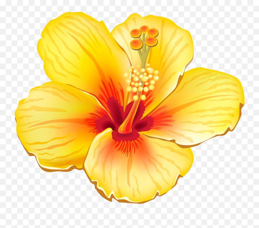 Transparent Background Hawaii Flowers Clipart - Tropical Flowers Clipart Emoji,Hawaii Emoji