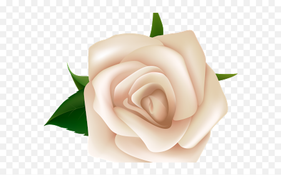 White Rose Clipart Free Clip Art Stock Illustrations - Clip White Rose Clipart Png Emoji,Dead Flower Emoji