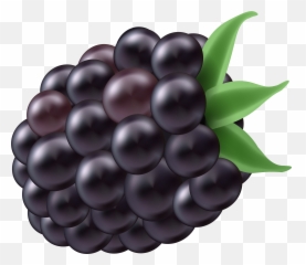 Clip Art - Amora Png Emoji,Blackberry Emoji