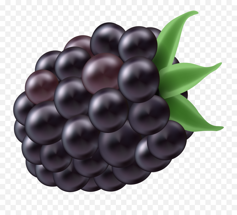 Clip Art - Amora Png Emoji,Blackberry Emoji