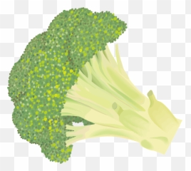 Broccoli clipart Free download transparent PNG Creazilla - Emoji