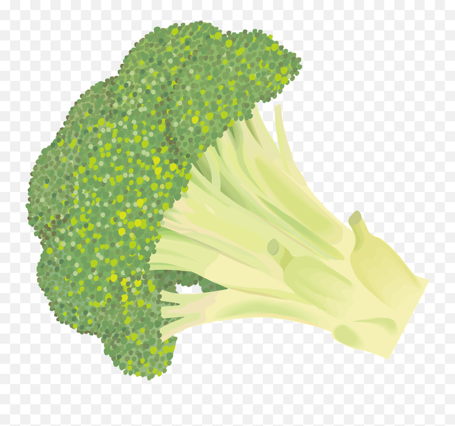 Broccoli Clipart Free Download Transparent Png Creazilla - Broccoli Emoji,Kale Emoji