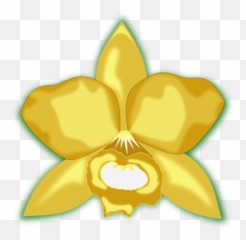 Gelbe Cattleya - Cataleya Flor Vector Blue And Yellow Emoji