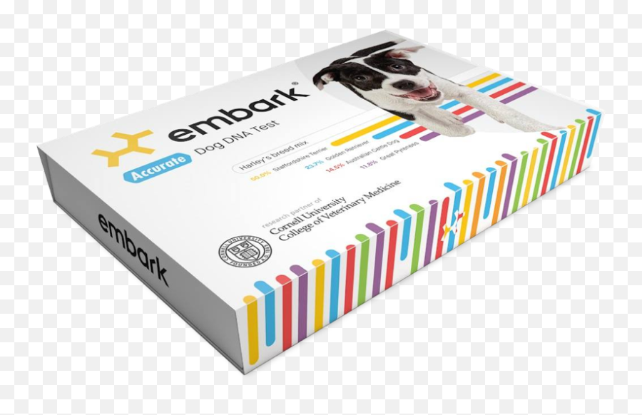 Github For Greyhounds Our Investment In Embark - By Emoji,Dna Emoji