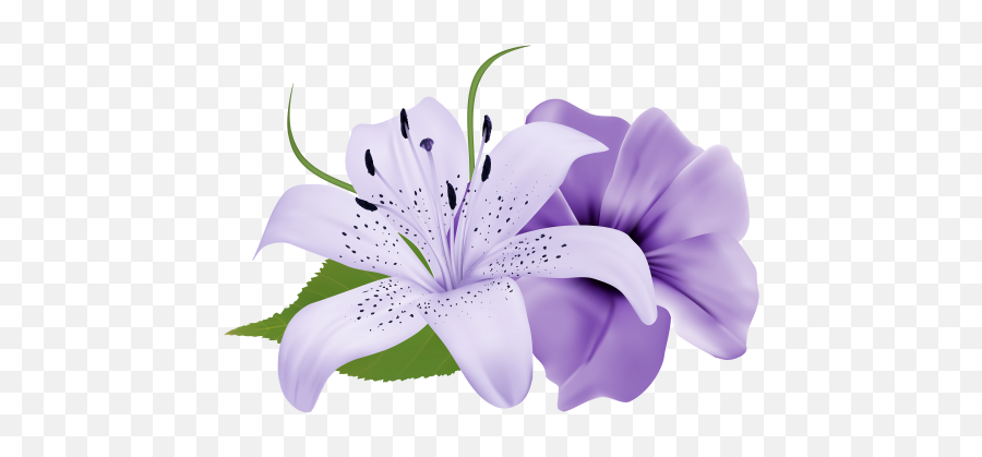 Violet Flower Png Violet Flower Png - Purple Flower Png Emoji,Lily Flower Emoji