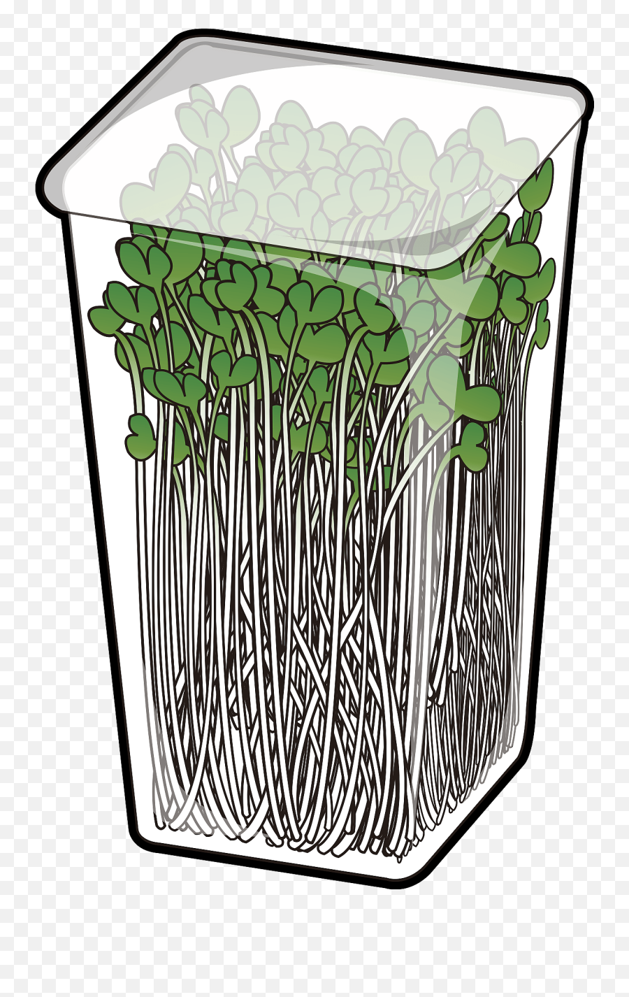 Radish Sprouts Clipart Free Download Transparent Png - Vertical Emoji,Sprout Emoji
