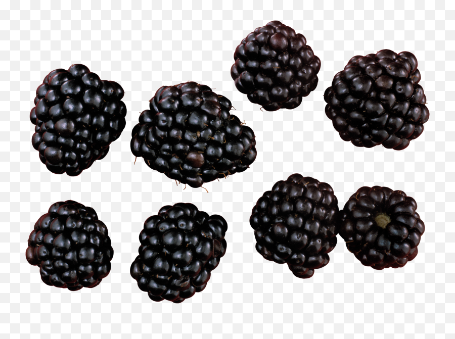 Blackberry Png - Blackberry Png Emoji,Member Berry Emoji