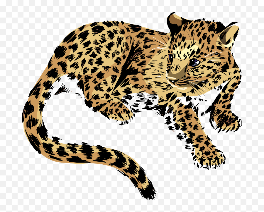 Free Jaguar Clipart 3 - Transparent Jaguar Clip Art Emoji,Jaguar Emoji