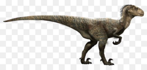 Velociraptor Raptor Dinosaur - Deinonychus Raptor Emoji,Raptor Emoji