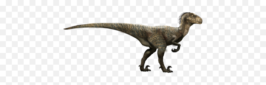Velociraptor Raptor Dinosaur - Deinonychus Raptor Emoji,Raptor Emoji