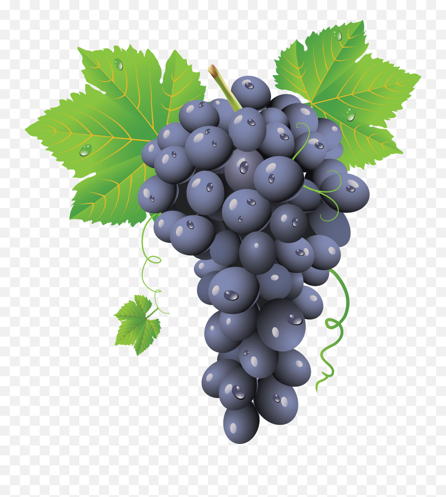Grape Png Image Icon Favicon - Grapes Png Emoji,Grape Emoji Png