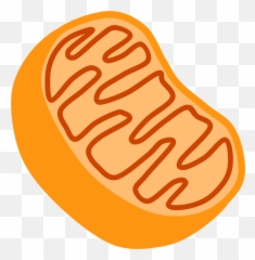Gun Clipart Holi Transparent - Mitochondria Emoji