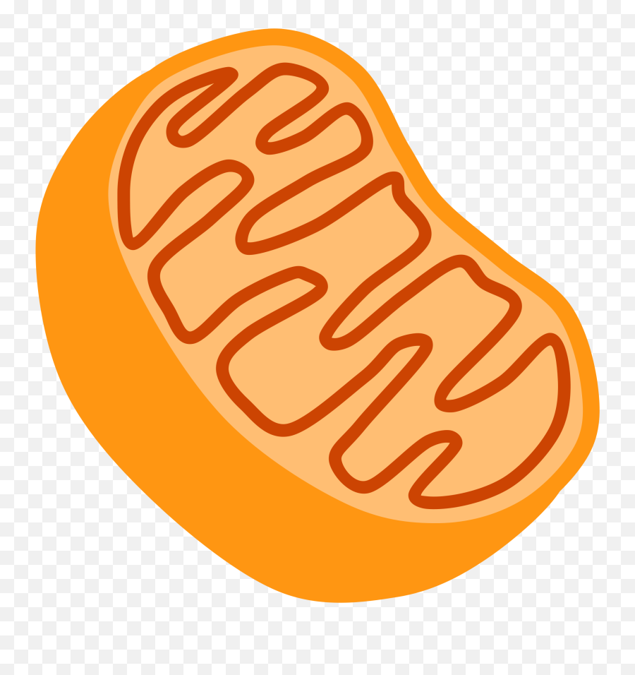 Gun Clipart Holi Gun Holi Transparent - Mitochondria Clipart Emoji,Gun Skull Pie Emoji