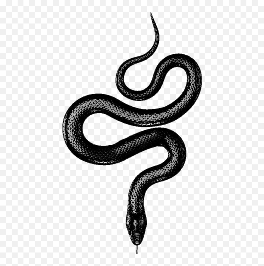 The Newest Poison Stickers On Picsart - Small All Black Snake Tattoo Emoji,Boy Girl Apple Snake Emoji