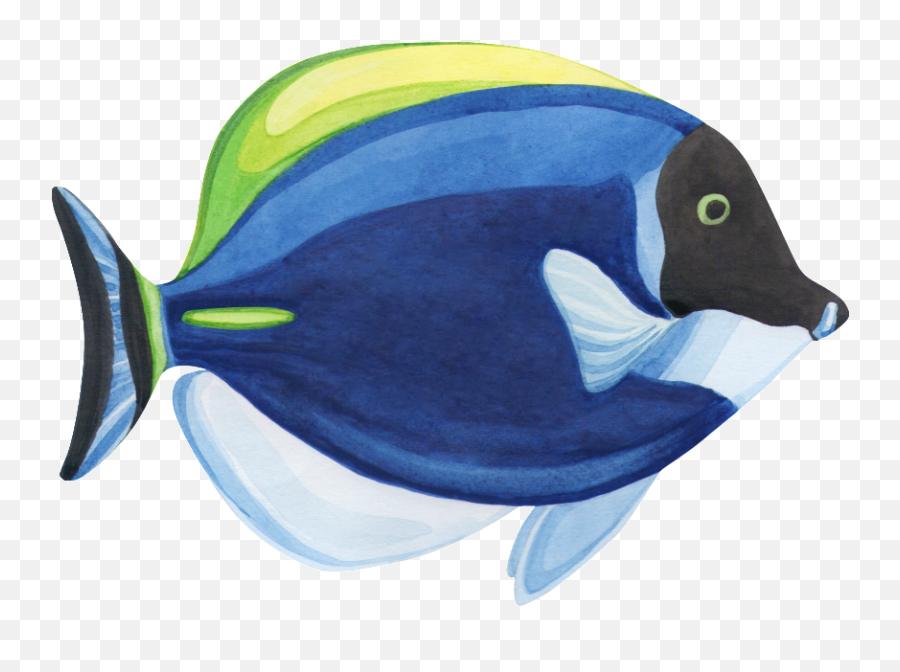 Download Hand Painted A Fish Watercolor Fish Png Transparent - Watercolour Tropical Fish Illustration Emoji,Fish Emoji Transparent