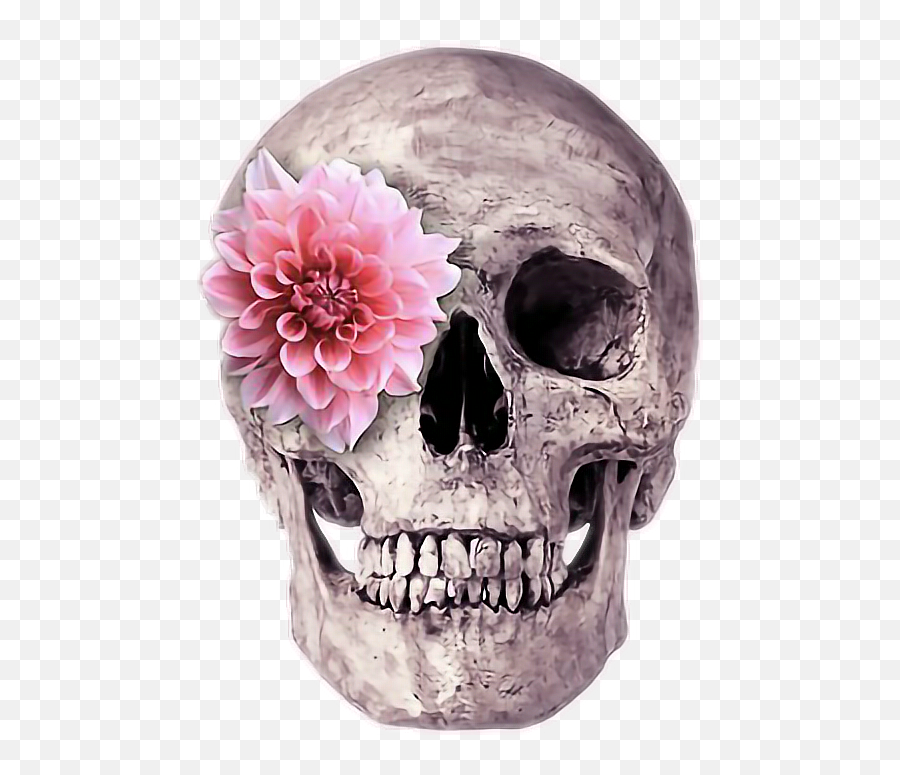 Skull Man Head Flower Dead Man Death - Skull Png Emoji,Man Skull Emoji