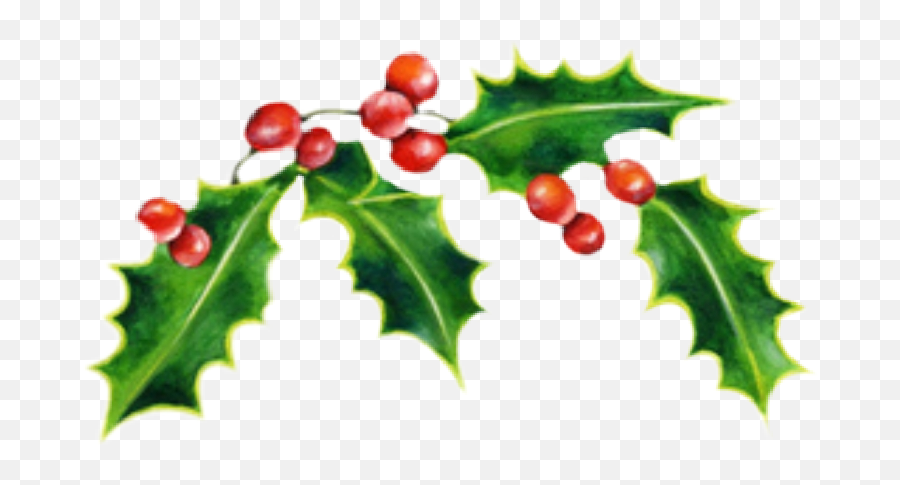 Mistletoechristmasmistletoefregranceoiltreemistletochri - Christmas Wreath Painted Emoji,Mistletoe Emoji
