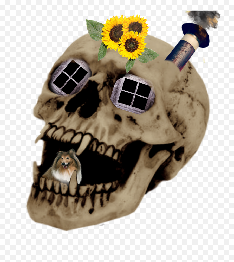 Dog Bone Skall Doghouse - Sticker By Solimon Skull Emoji,Dog Bone Emoji
