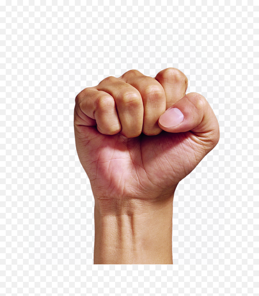 Hand Fist Png Picture - Unity Symbol Of Hand Emoji,Fist Punch Emoji