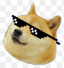 Mlg Doge Png Picture - Mlg Doge Png Emoji,Doge Emoticon