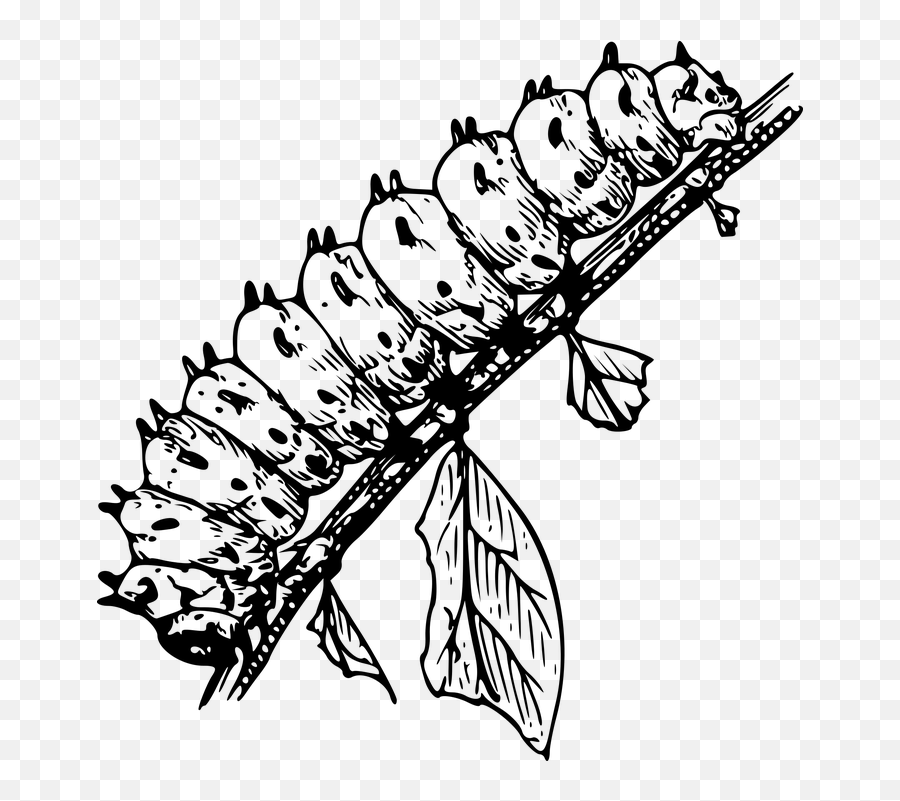 Free Caterpillar Worm Illustrations - Caterpillar Black And White Clipart Emoji,Clam Emoji