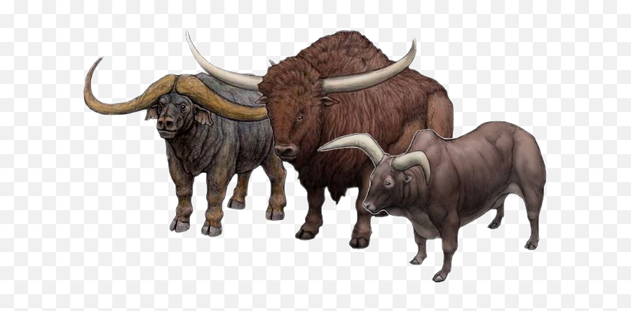 Ftestickers Buffalo Freetoedit - Sticker By Sona Prehistoric Cow Emoji,Buffalo Emoji