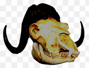boundary respecter muskoxcybrespace - Cybrespace Skull Head Animal Png Emoji