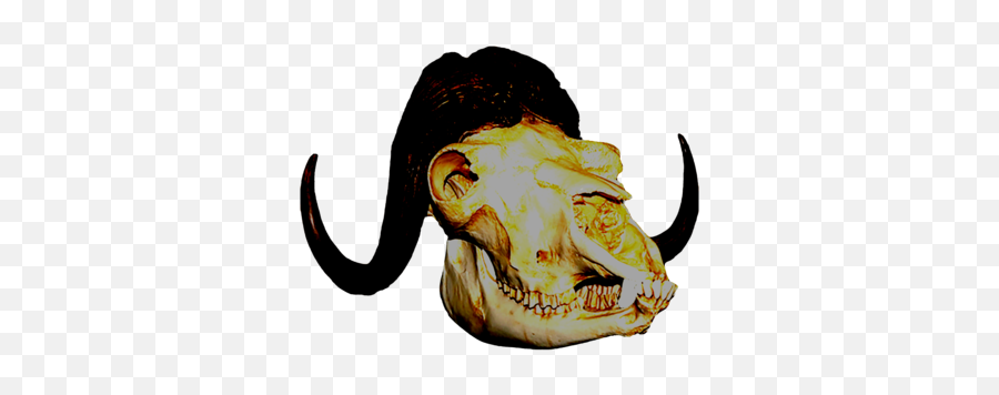 Boundary Respecter Muskoxcybrespace - Cybrespace Skull Head Animal Png Emoji,Weep Emoji