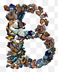 Cool Aesthetic Butterfly Emoji Wallpaper images - Letters Name