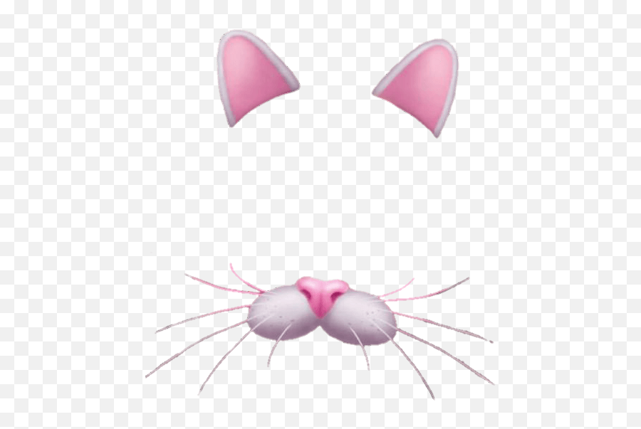 Snapchat Filter Bunny Rose Transparent - Snapchat Cat Filter Png Emoji,Bunny Emojis