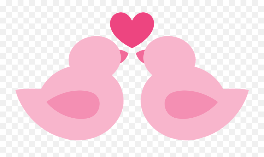 Birds In Love Marriage Love Color Pink - Passarinhos Apaixonados Png Emoji,Two Pink Hearts Emoji