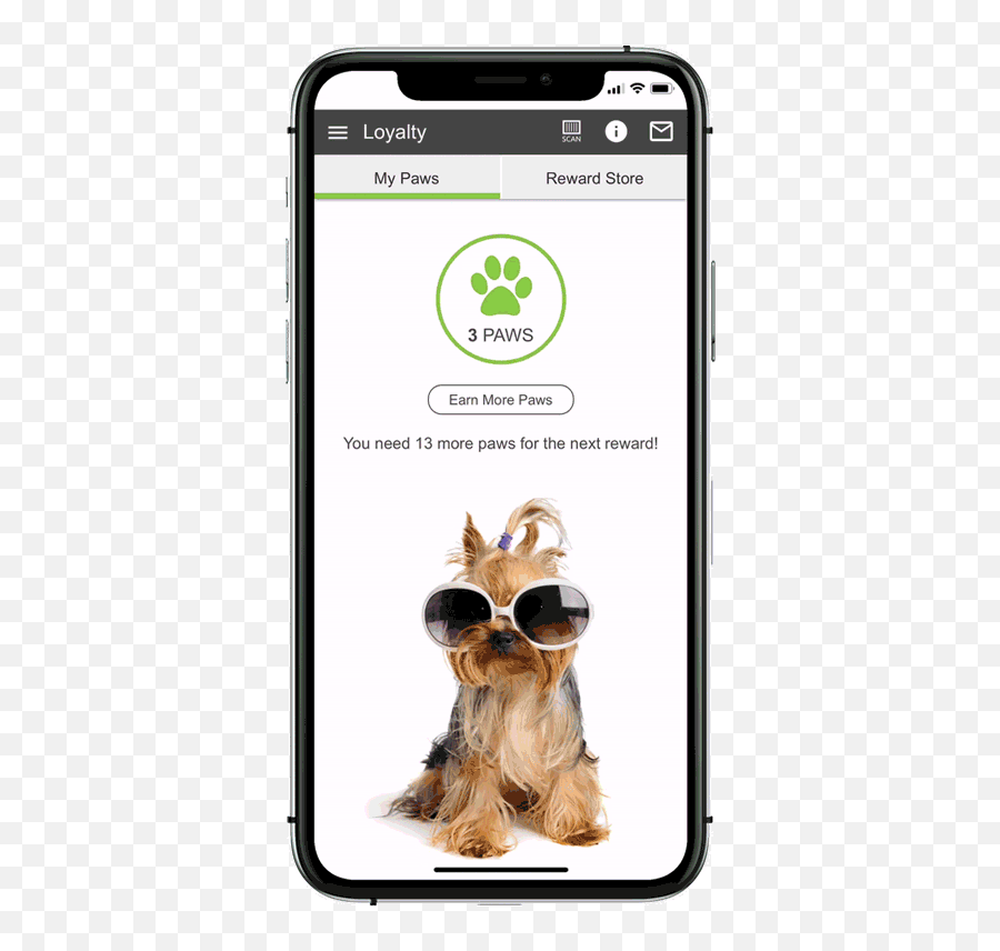 Features - Dogs In Sunglasses Emoji,Schnauzer Emoji