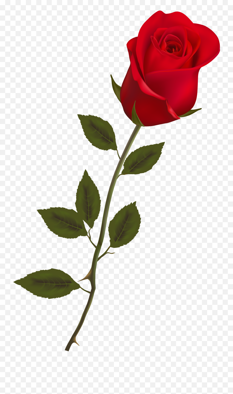 Stem Rose Clipart - Transparent Background Red Rose Png Emoji,Wilted Rose Emoji