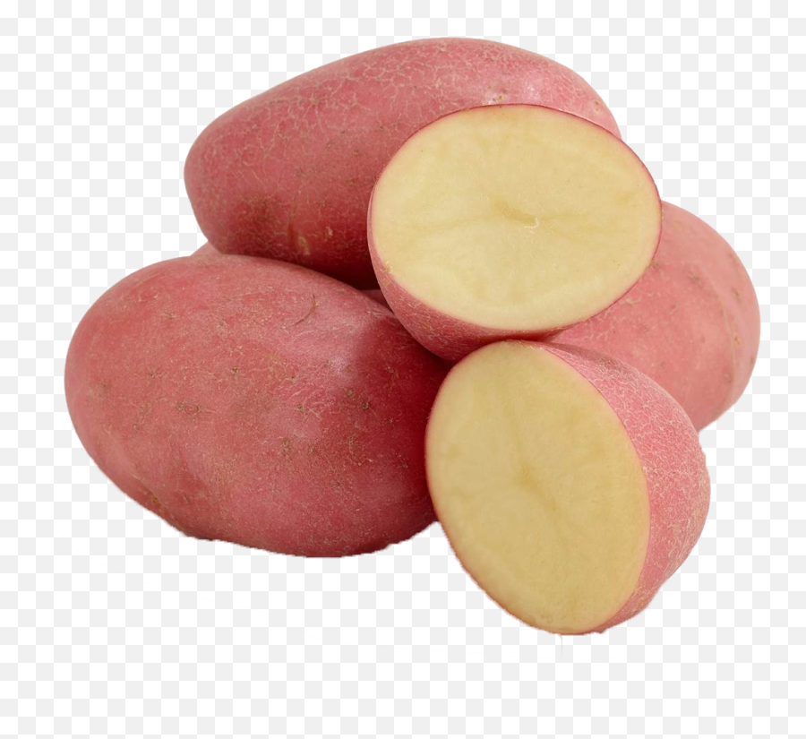 Potato Png Hd Images - Red Potato Png Emoji,Sweet Potato Emoji