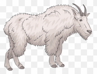 Mountain Goat clipart Free download transparent PNG - Clipart Cartoon Emoji