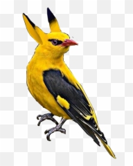 Sticker - Coraciiformes Emoji,Oriole Emoji