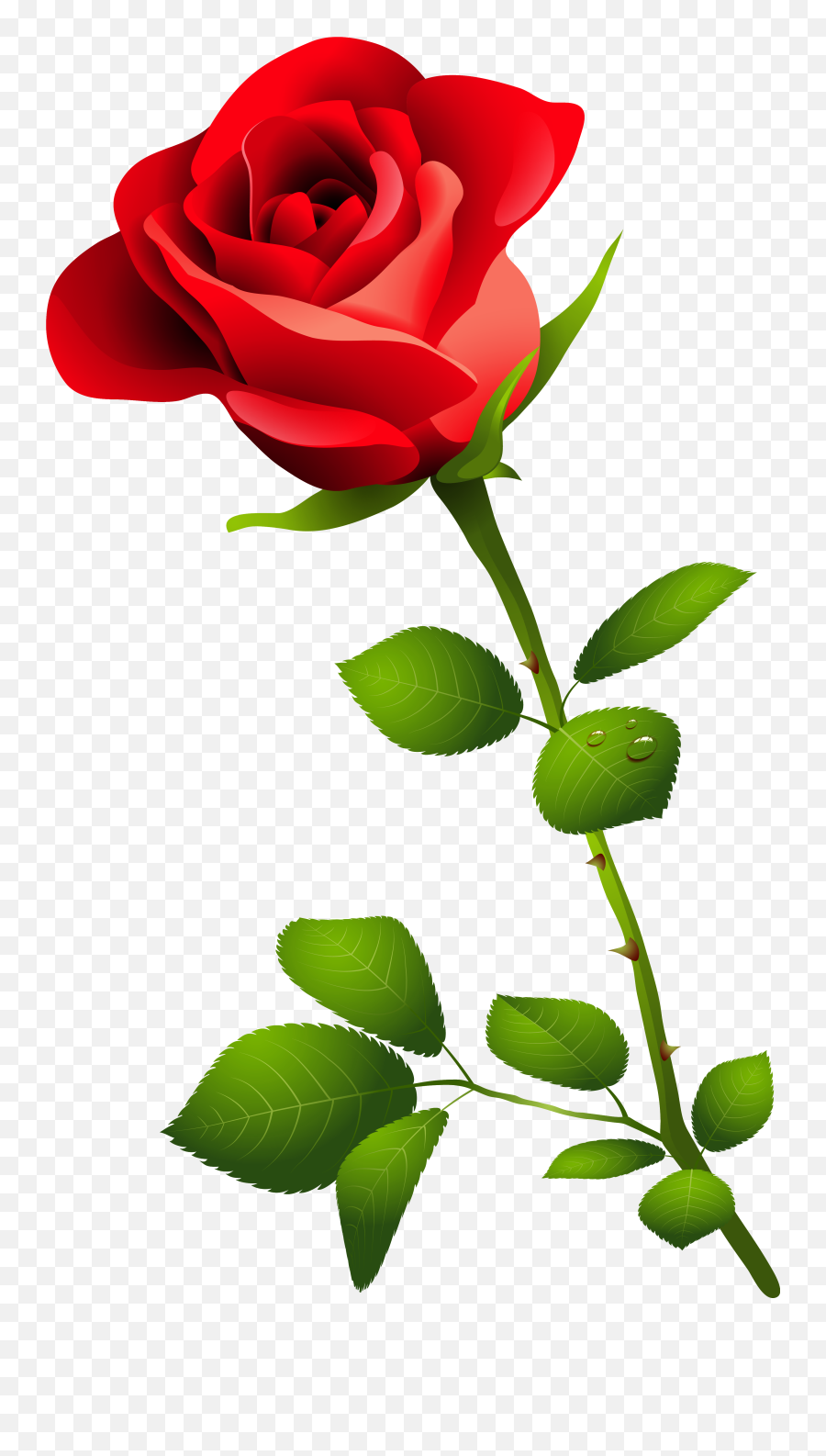 13566 Rose Free Clipart - Rose Image Hd Png Emoji,White Rose Emoji