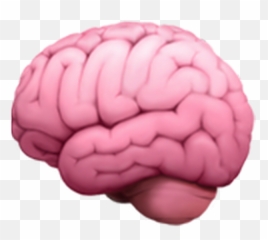 If Cambridgeshire Places Were Emojis - Brain Emoji Png,Car Crash Emoji