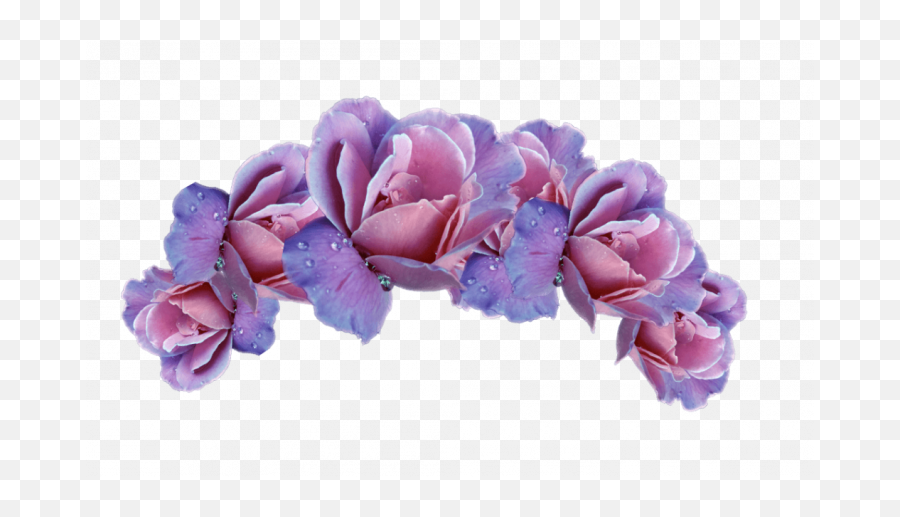 Permalink To 200 Latest Flower Crown Png Ideas - Purple Purple Flower Crown Png Emoji,Pink Flower Emoji