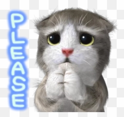 Kawaii Cat Stickers 2019 Hack Cheats - Domestic Emoji