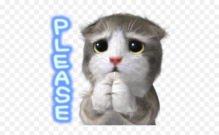 Kawaii Cat Stickers 2019 Hack Cheats - Domestic Cat Emoji,Nyan Cat Emoji Google Chat
