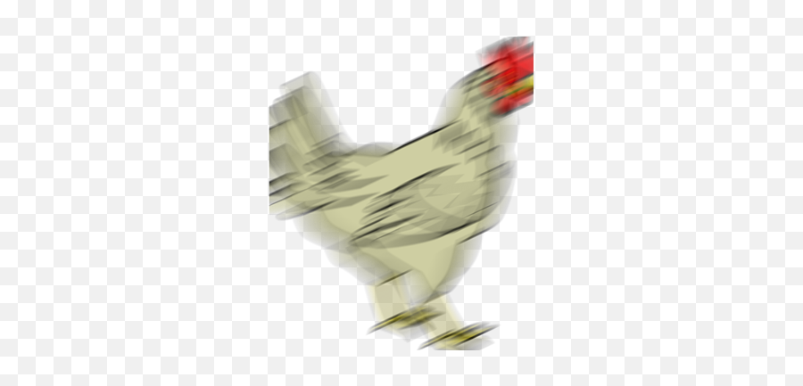 Profile - Rooster Emoji,Cockatiel Emoji