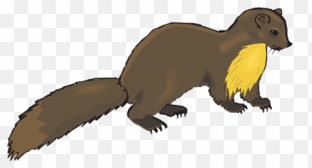 Brown Animal Tail - Mink Clipart Emoji