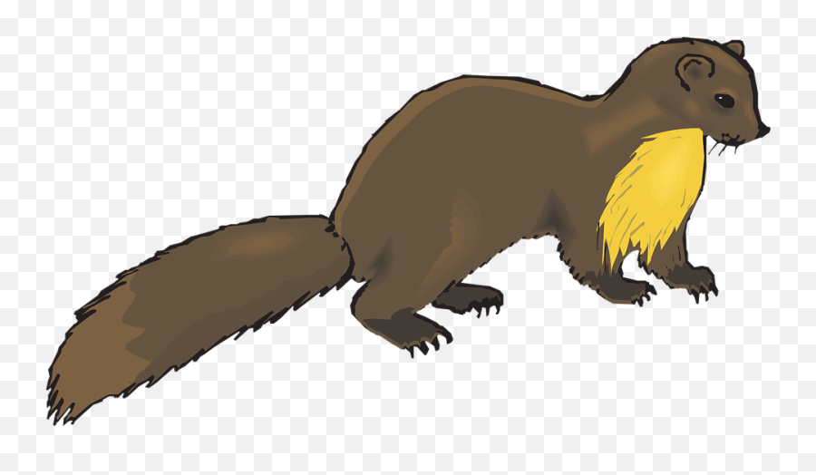 Brown Animal Tail - Mink Clipart Emoji,Skunk Emoji Facebook